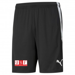 TeamLIGA training Shorts